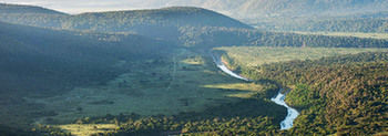 Kariega Game Reserve Settlers Drift Alexandria  外观 照片