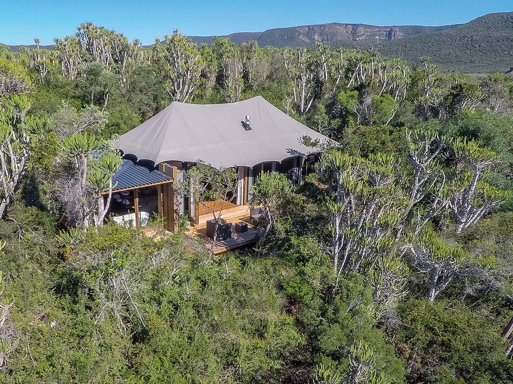 Kariega Game Reserve Settlers Drift Alexandria  外观 照片