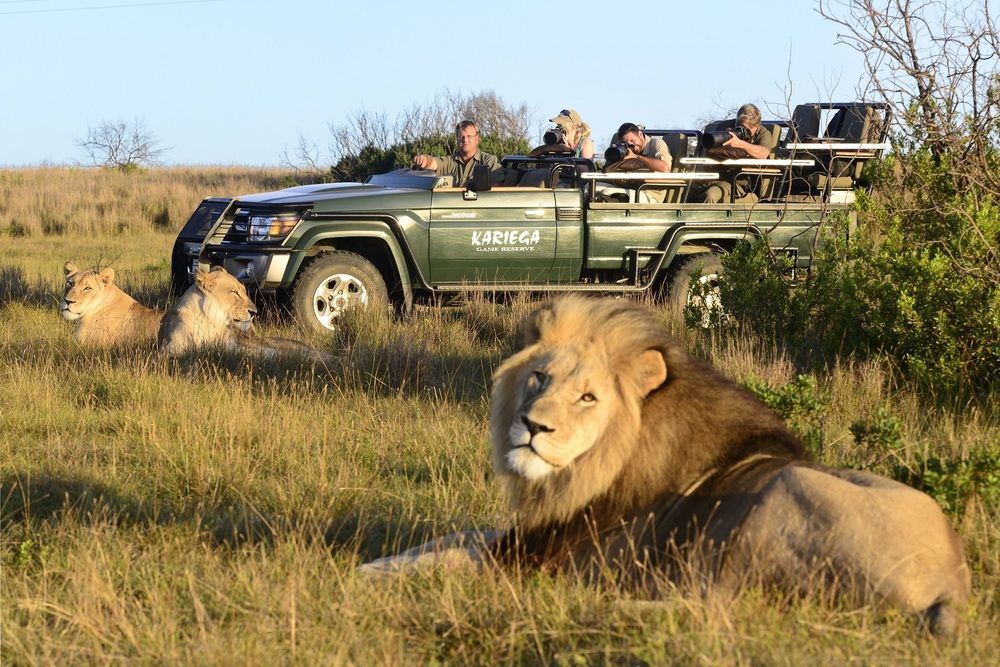 Kariega Game Reserve Settlers Drift Alexandria  外观 照片