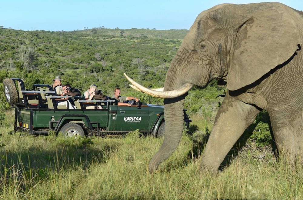 Kariega Game Reserve Settlers Drift Alexandria  外观 照片