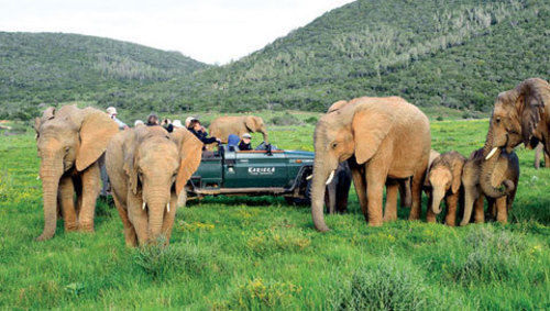 Kariega Game Reserve Settlers Drift Alexandria  外观 照片