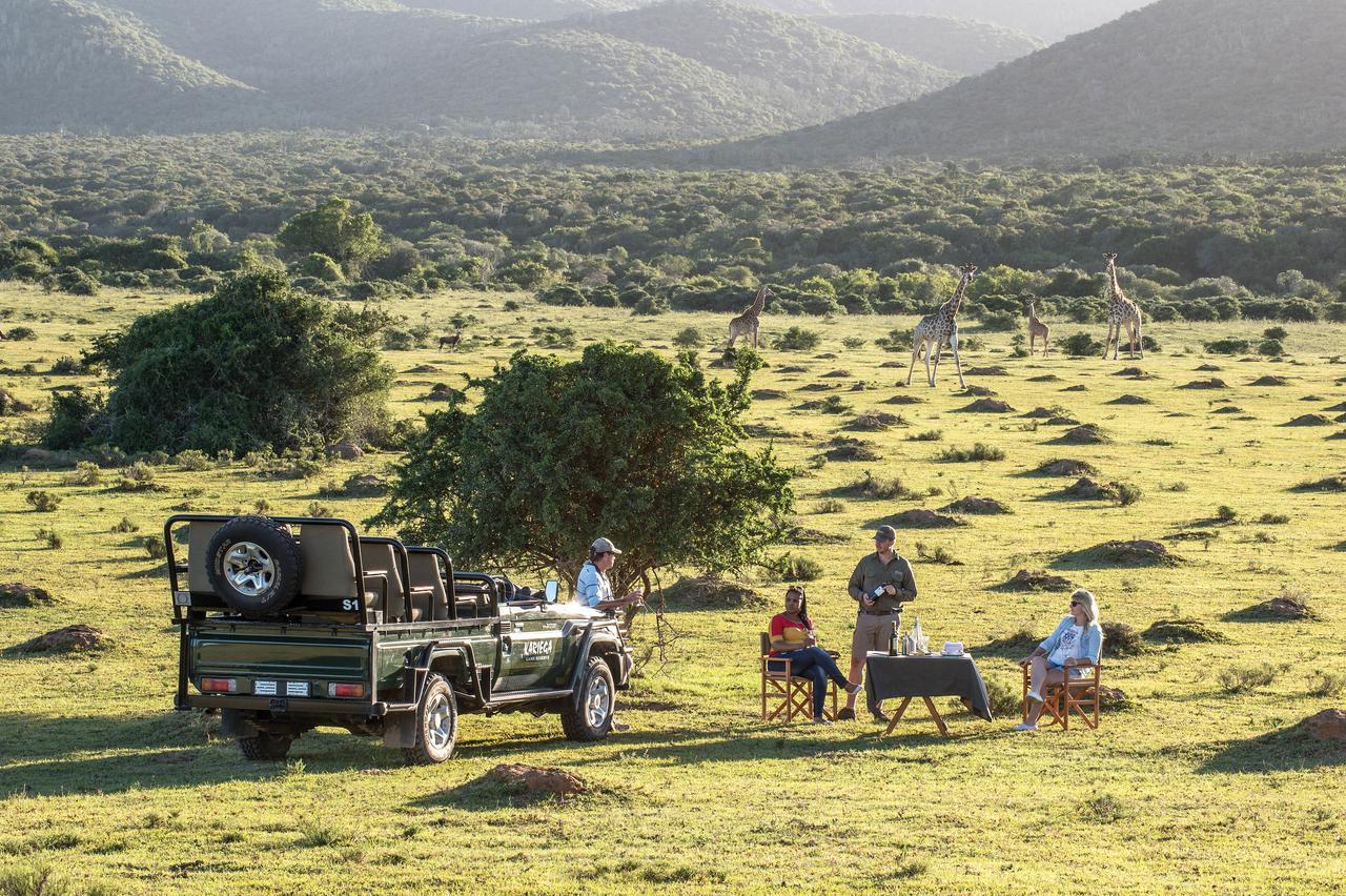 Kariega Game Reserve Settlers Drift Alexandria  外观 照片