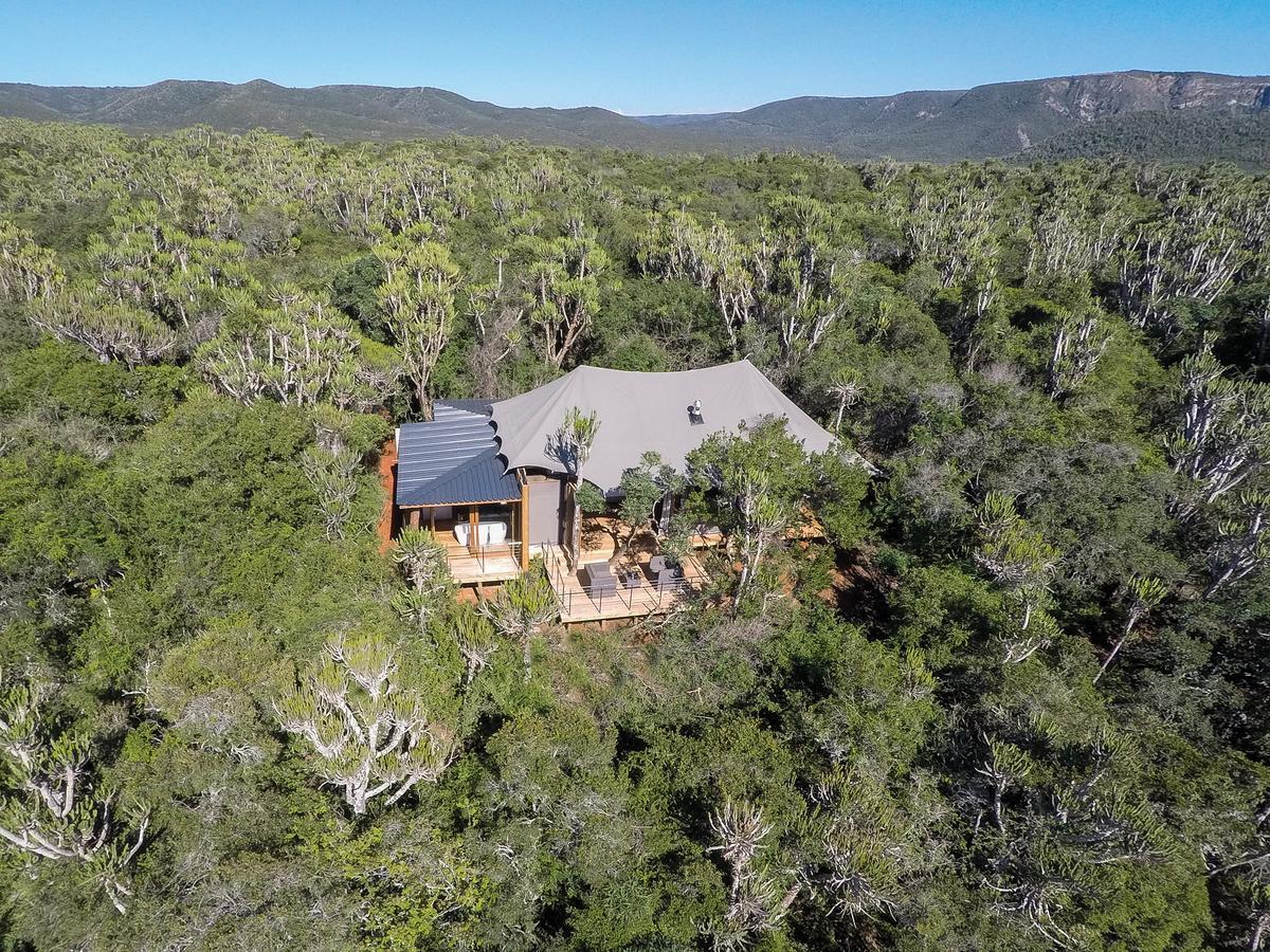 Kariega Game Reserve Settlers Drift Alexandria  外观 照片